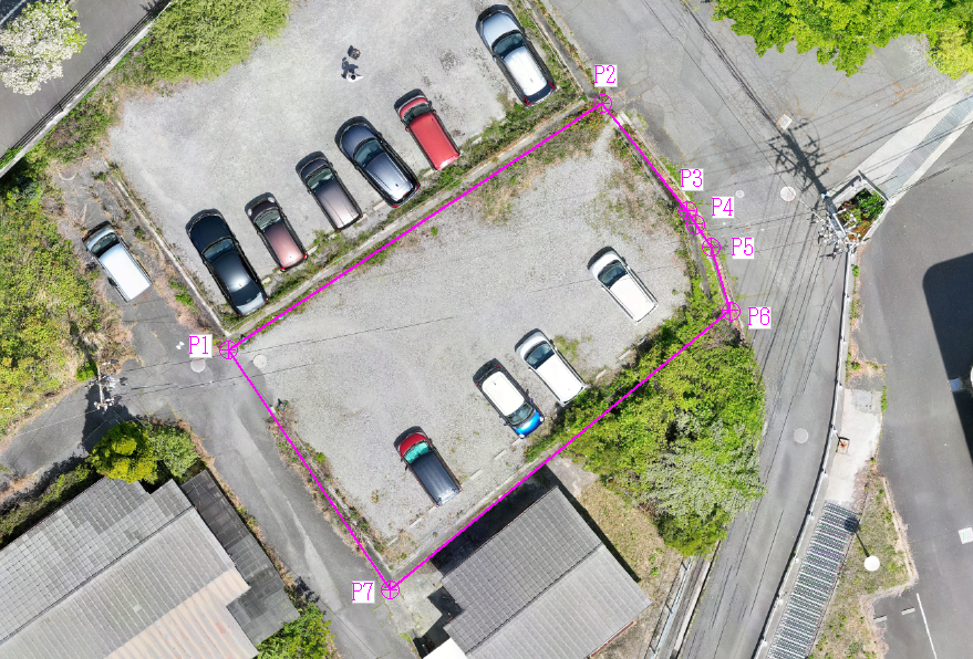 オルソ画像のイメージ