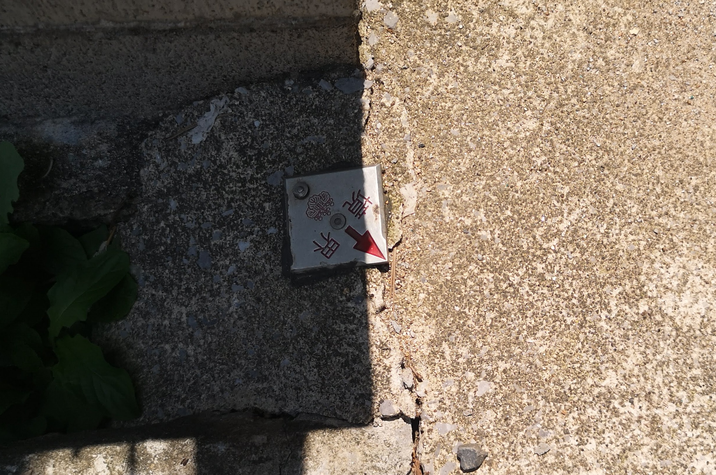 新しく設置されたコンクリートの境界標